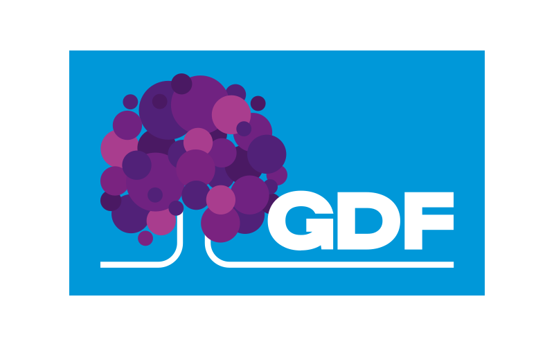 Governo do Distrito Federal